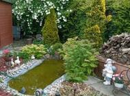 Grajewo ogłoszenia: Sprzedam działkę Rod Oaza nr137. Działka zadbana z domkiem cena... - zdjęcie