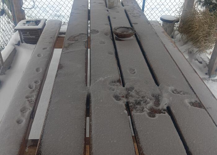 Grajewo ogłoszenia: Sprzedam stół rodzinny pod wiatę na przyjęcia zrobiony z drzewa...